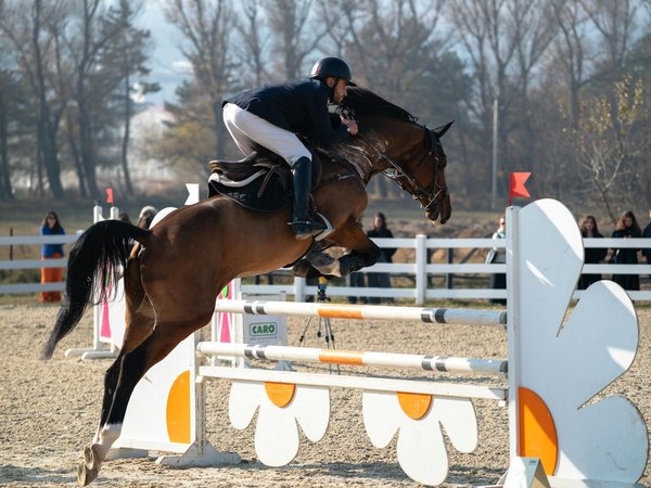 Les noms des stades de foot et leur signification